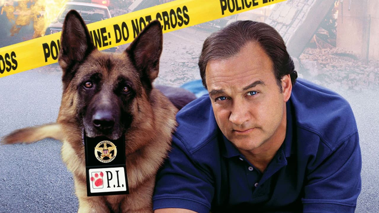 K-9: P.I. still 3
