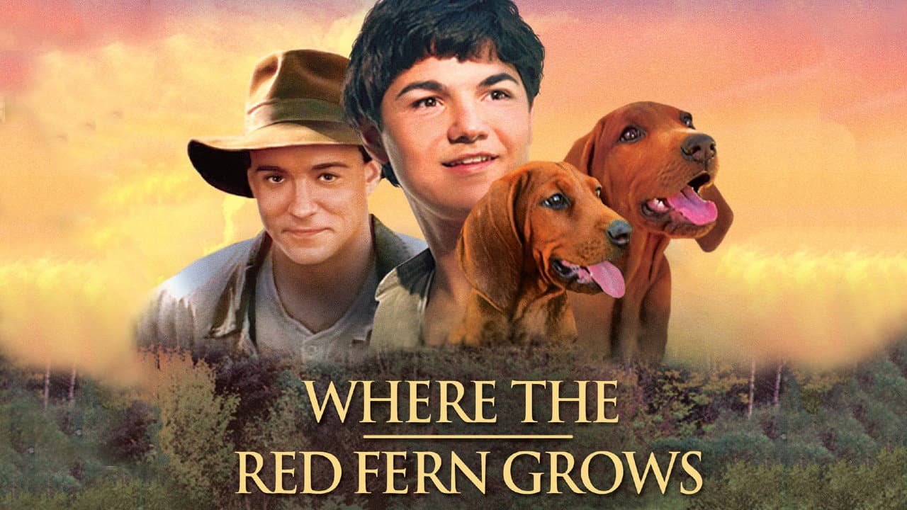 Where the Red Fern Grows still 3
