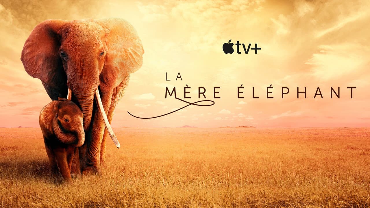 The Elephant Queen still 5