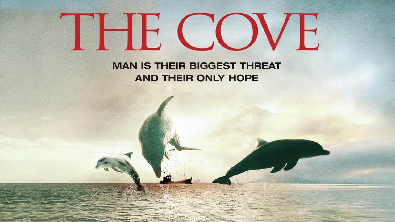 The Cove still 4