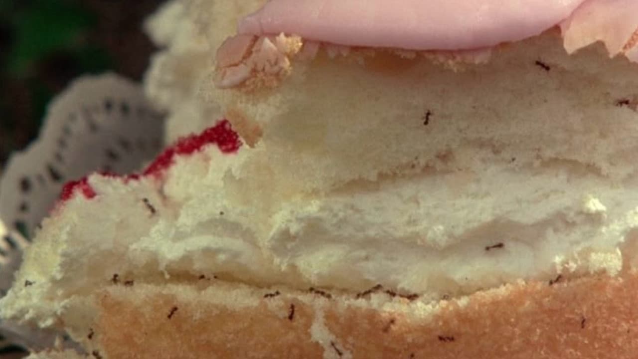 Picnic at Hanging Rock still 4