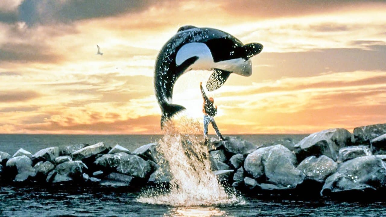 Free Willy still 2