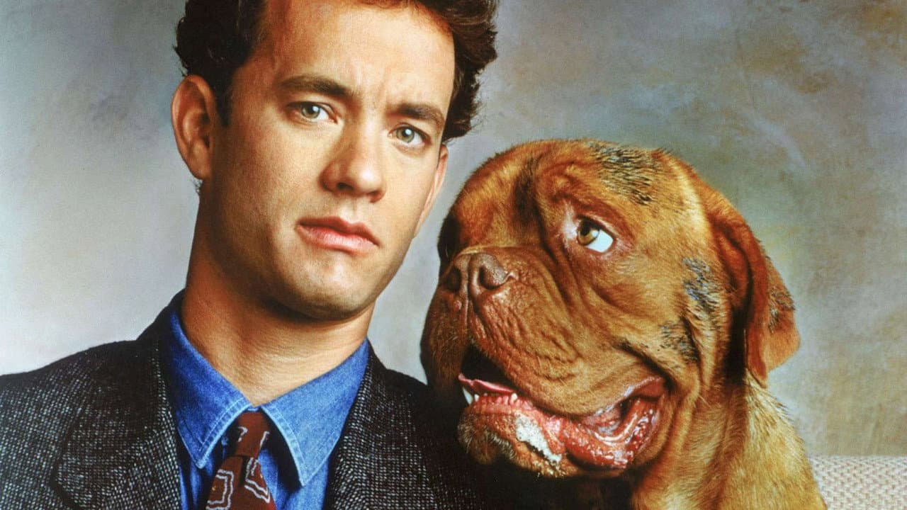 Turner & Hooch still 6