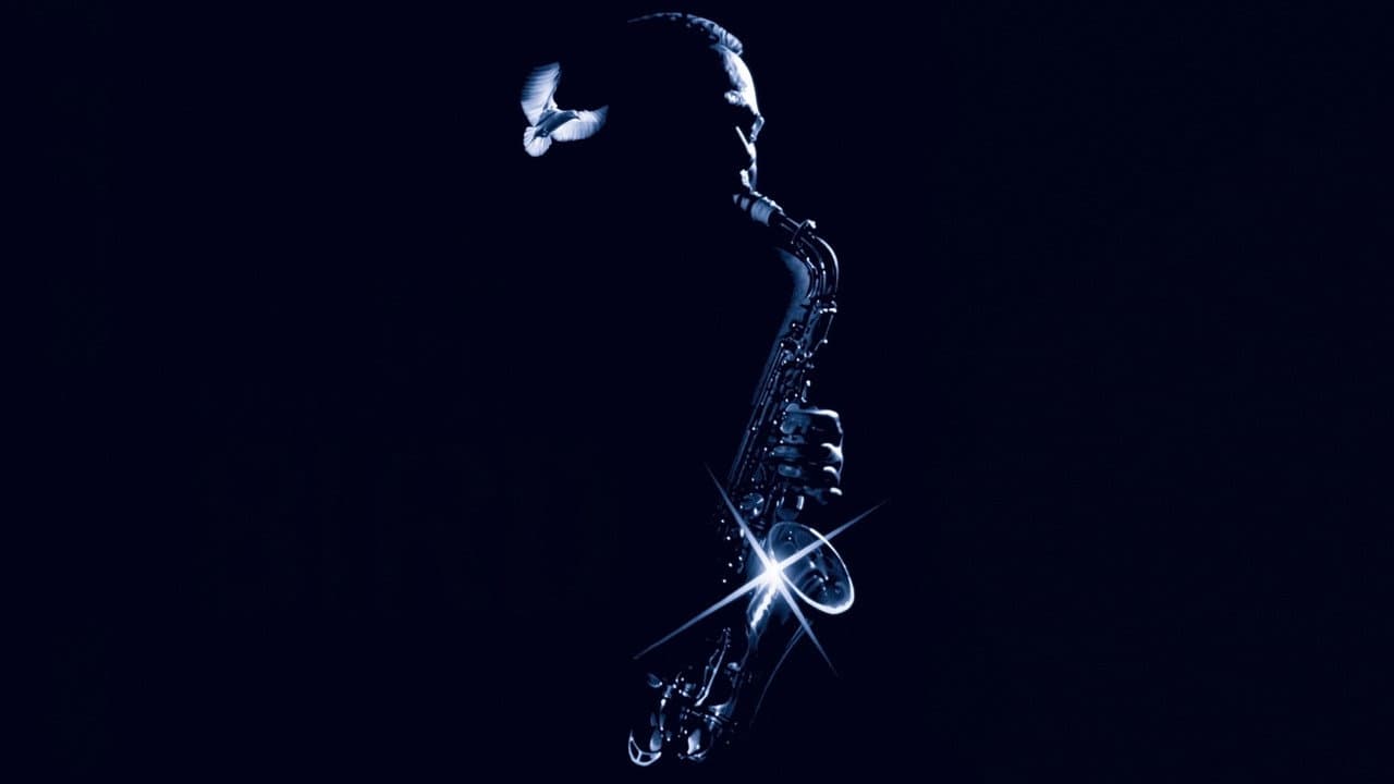 Bird still 6