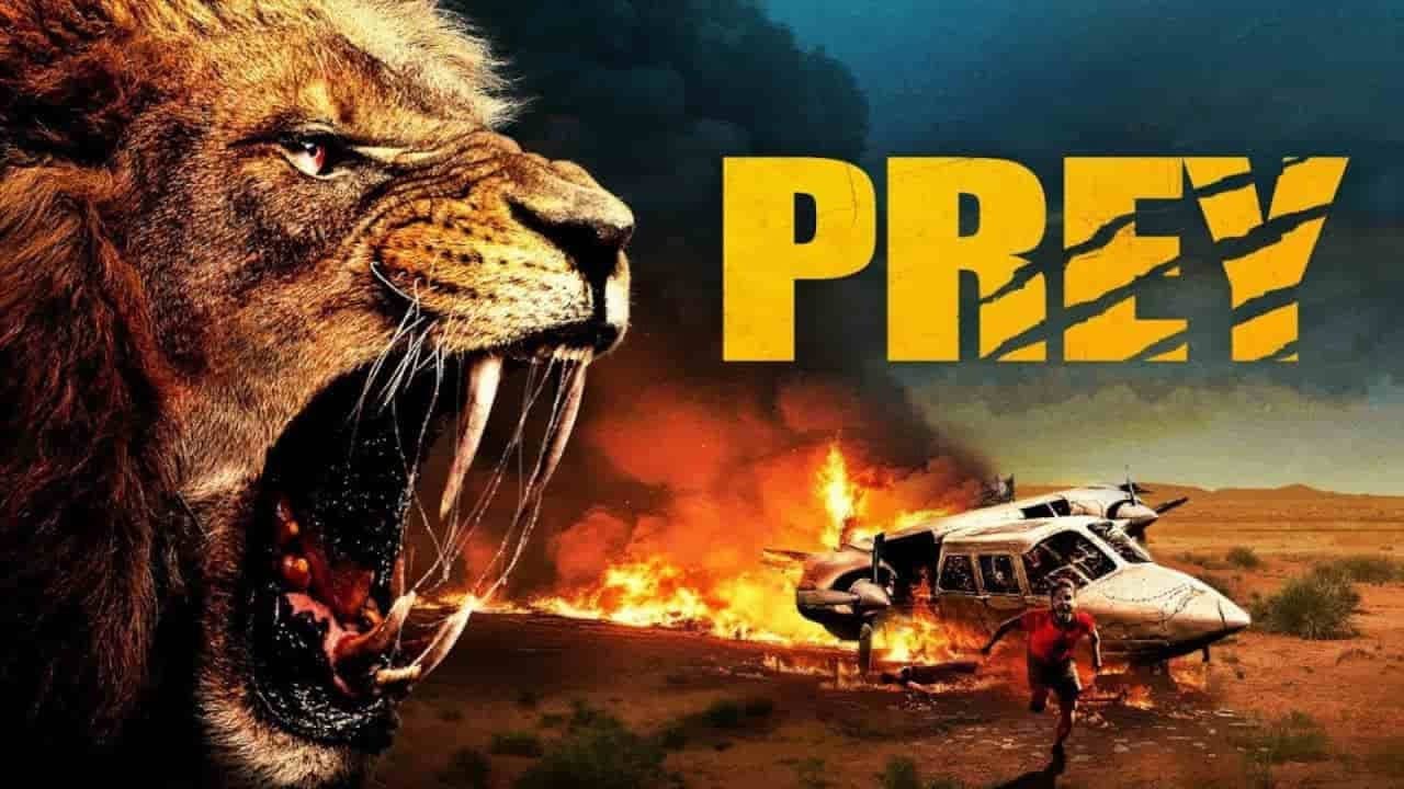 Prey still 8