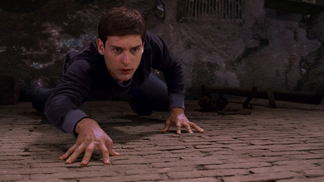 Spider-Man still 8