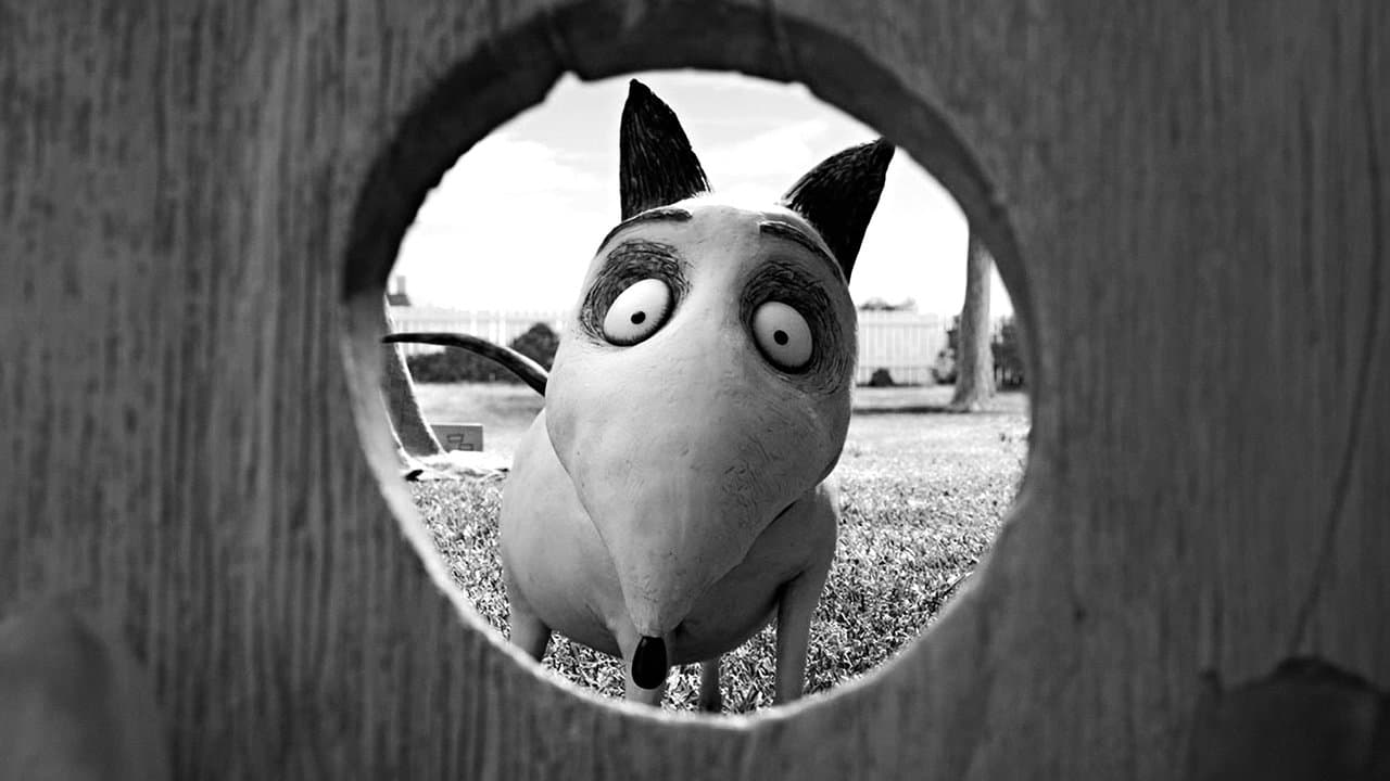 Frankenweenie still 4