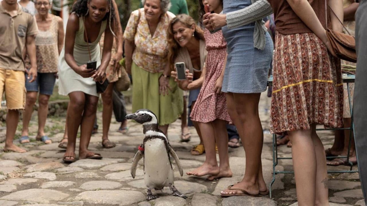 My Penguin Friend still 6