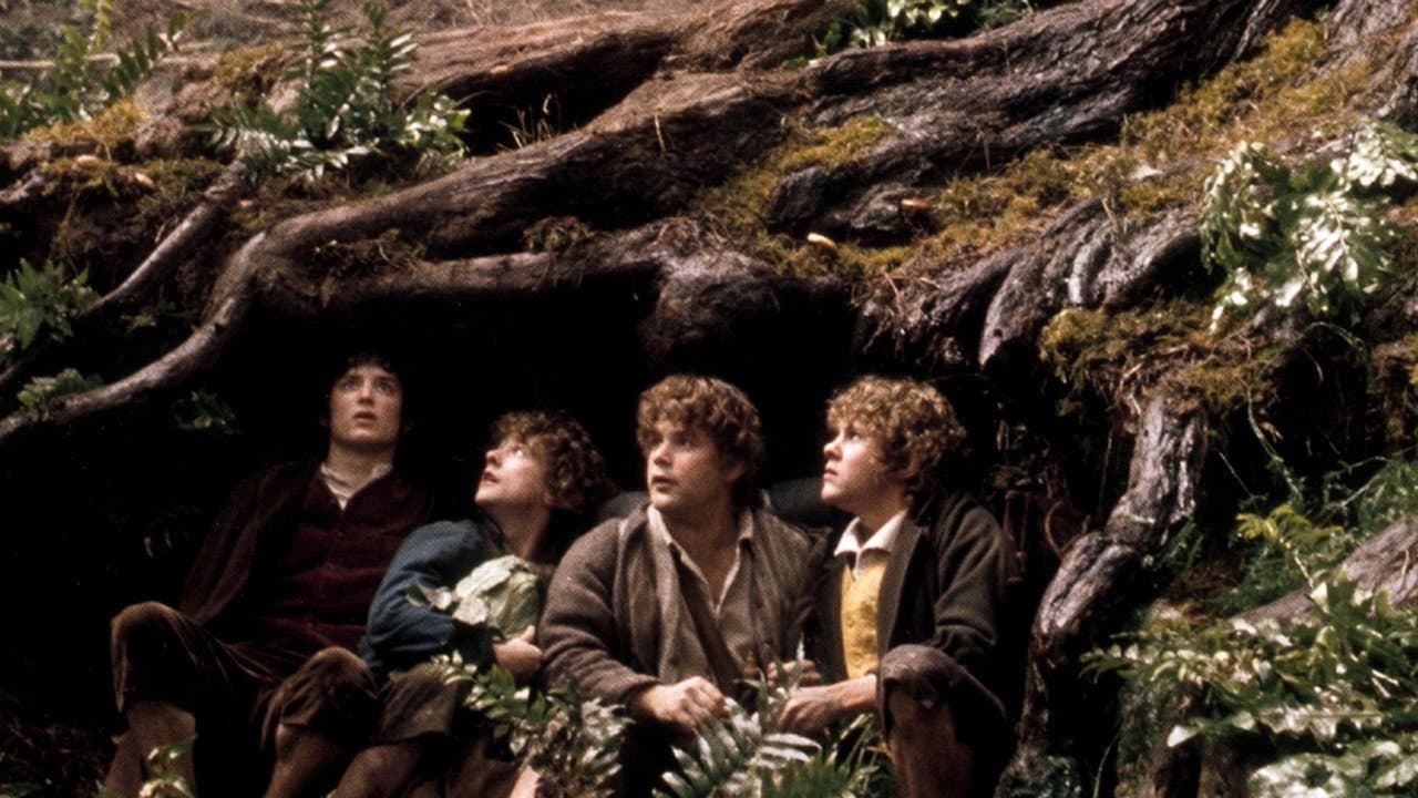 The Lord of the Rings: The Fellowship of the Ring still 6