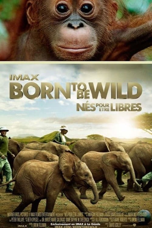 Born to Be Wild still 5