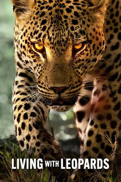 Living with Leopards still 6