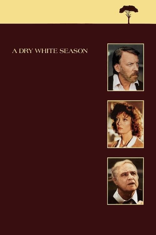 A Dry White Season still 6