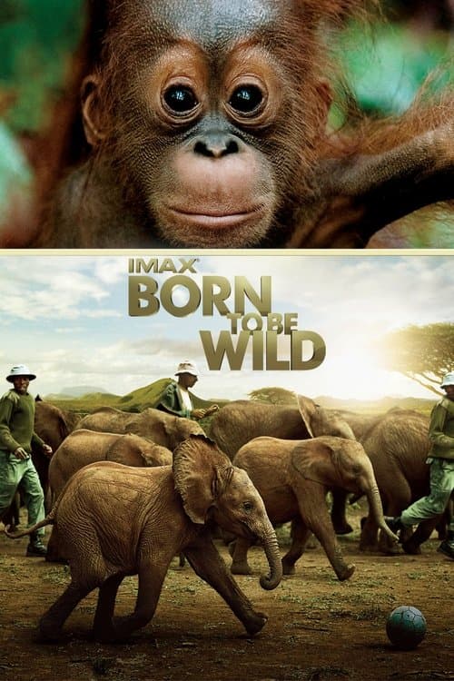 Born to Be Wild still 3