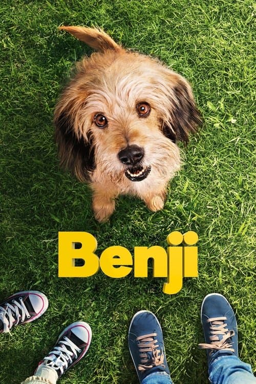 Benji still 8