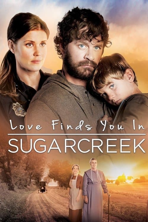 Love Finds You In Sugarcreek still 5