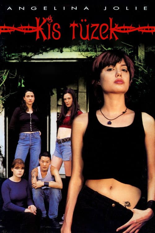 Foxfire still 6