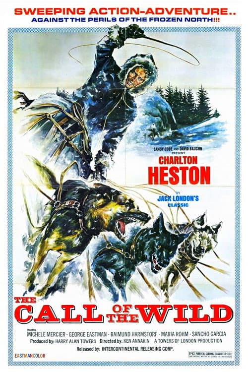 The Call of the Wild still 8