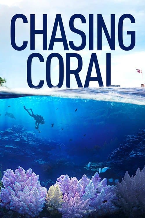 Chasing Coral still 2