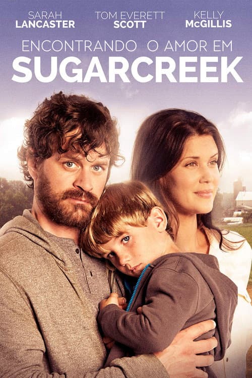 Love Finds You In Sugarcreek still 7