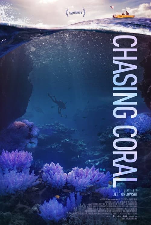 Chasing Coral still 3
