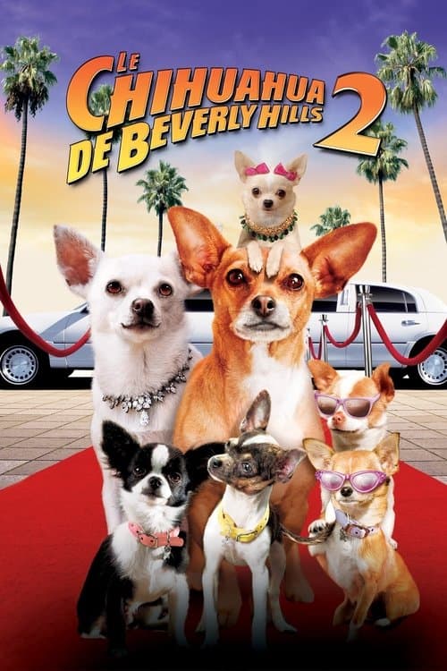 Beverly Hills Chihuahua 2 still 8