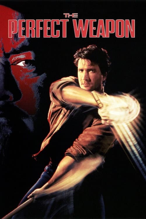 The Perfect Weapon still 8