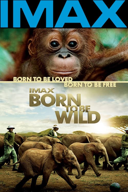 Born to Be Wild still 8