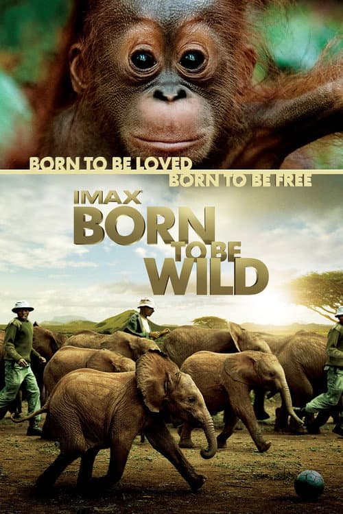 Born to Be Wild still 6