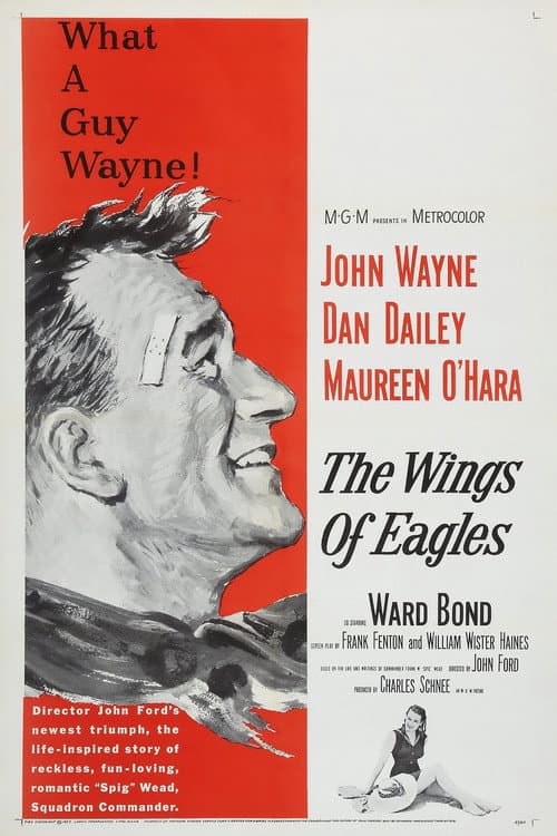 The Wings of Eagles still 7