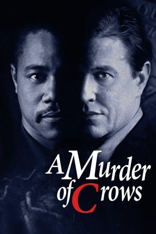 A Murder of Crows still 3
