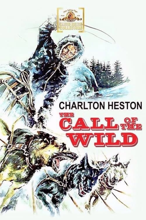 The Call of the Wild still 7