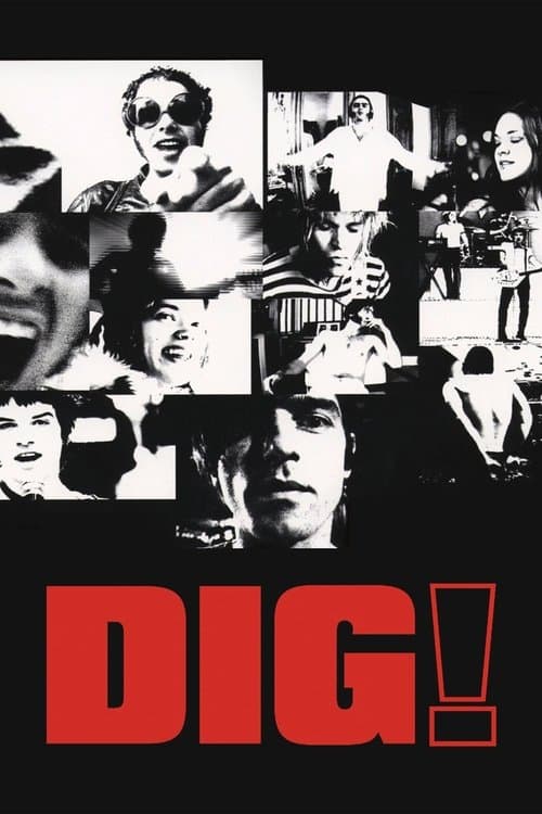 Dig! still 3