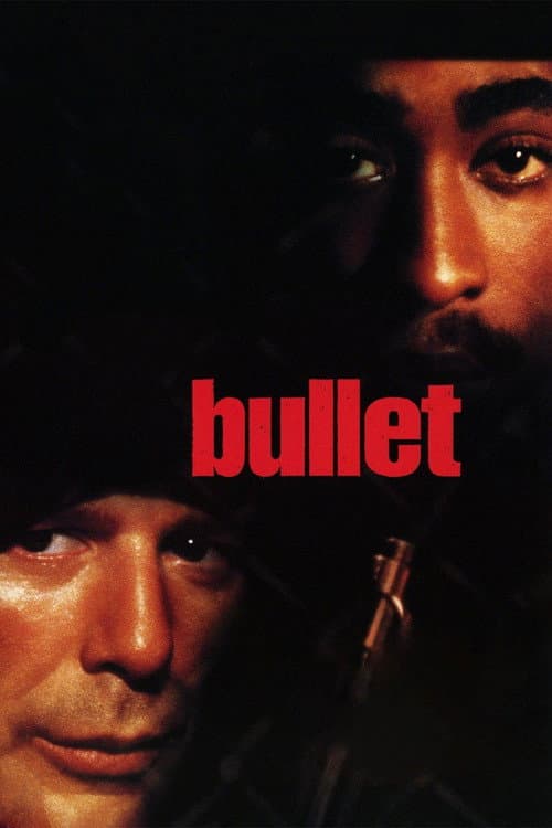 Bullet still 8