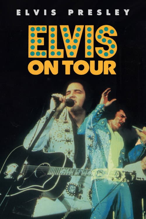 Elvis on Tour still 8