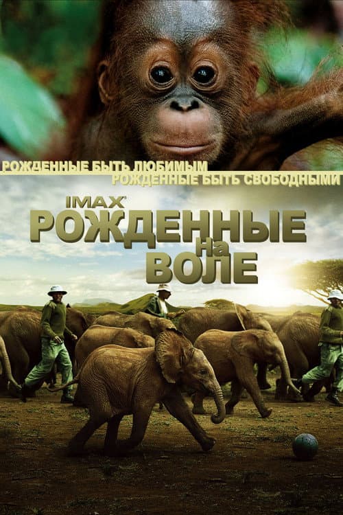 Born to Be Wild still 4