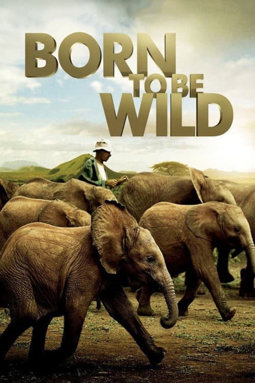 Born to Be Wild still 7