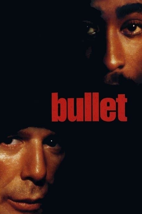 Bullet still 6