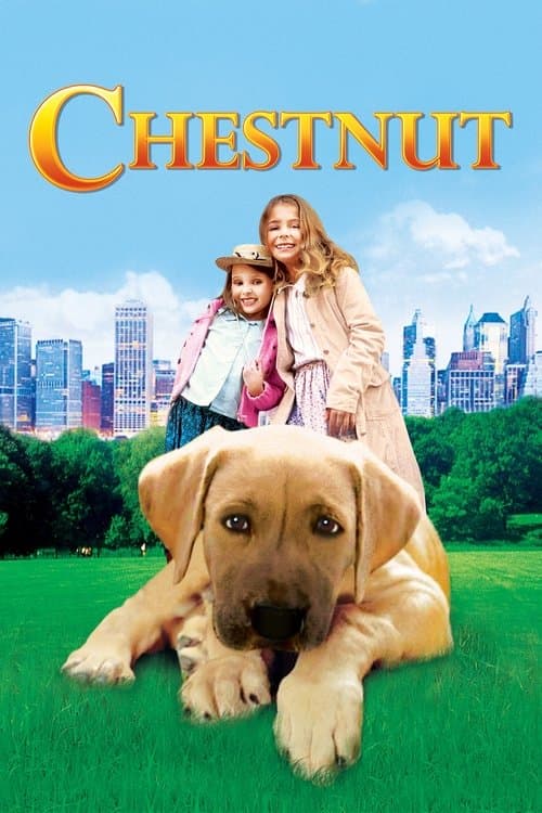 Chestnut: Hero of Central Park still 8