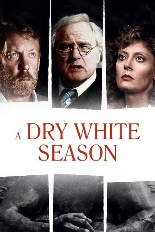 A Dry White Season still 7