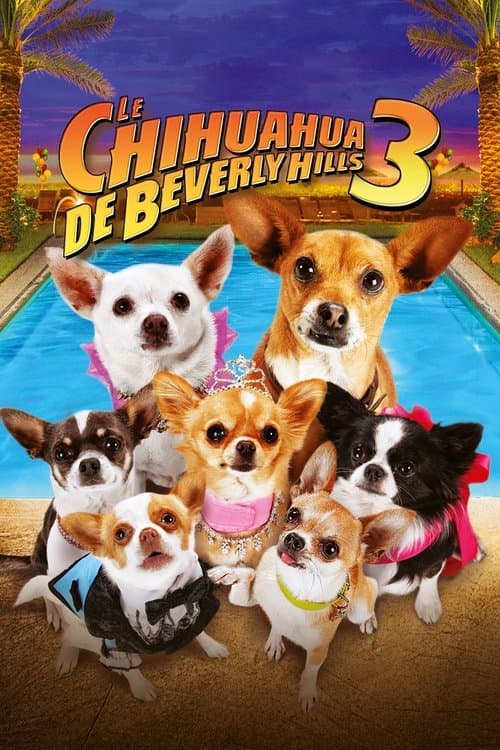 Beverly Hills Chihuahua 3: Viva la Fiesta! still 8