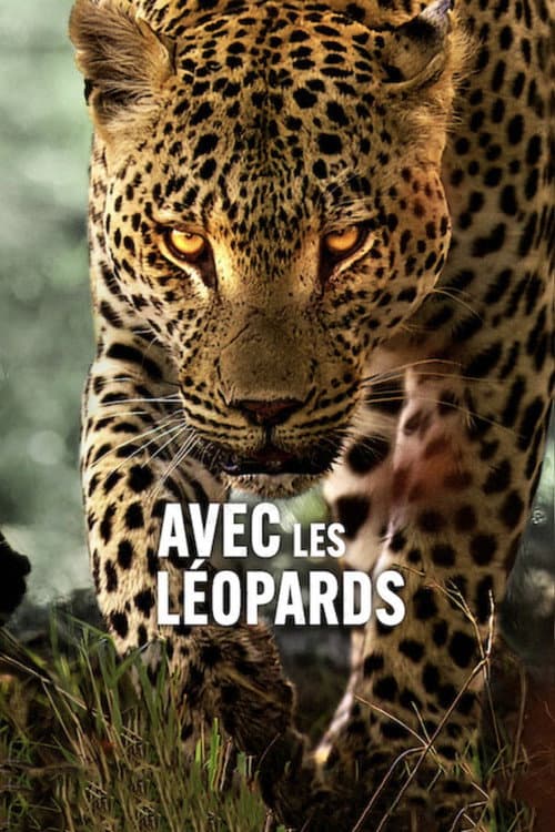 Living with Leopards still 8