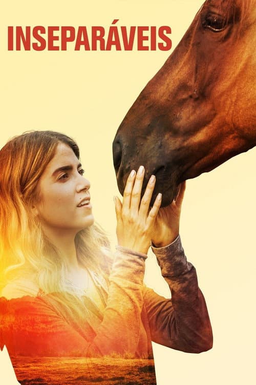 A Sunday Horse still 6