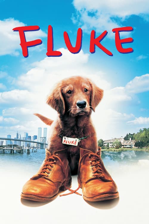 Fluke still 8