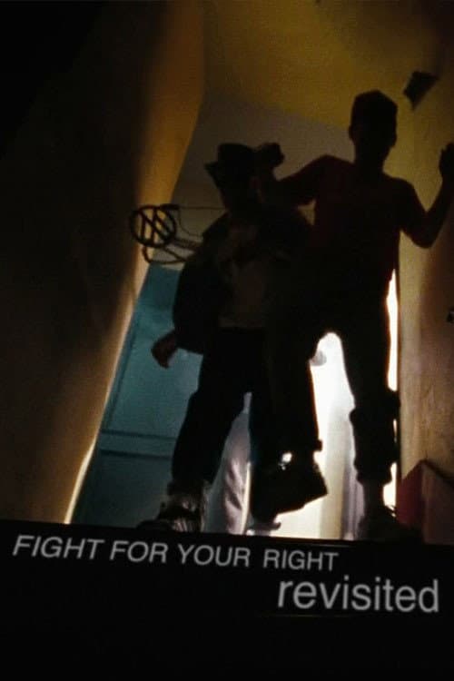 Fight for Your Right Revisited still 5