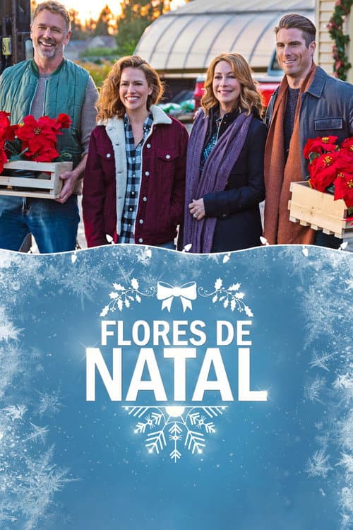 Poinsettias for Christmas still 6