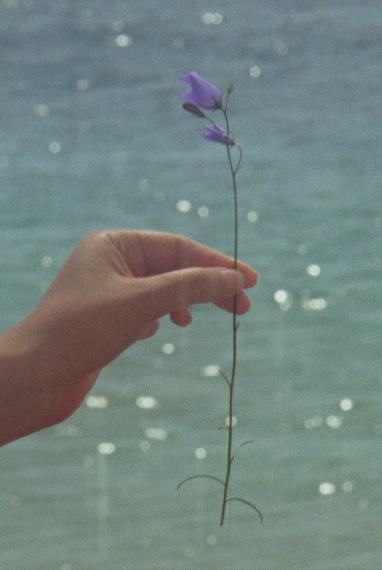 Loinnir (2026): A 6-Minute Atlantic Coast Meditation